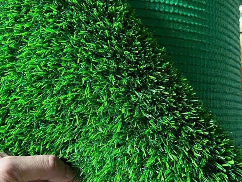Lựa chọn dòng cỏ phù hợp theo mục đích, mức giá
