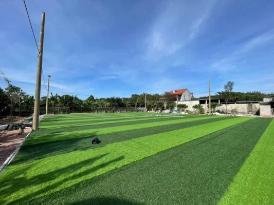 Thảm cỏ nhân tạo sân bóng đá chuyên dụng