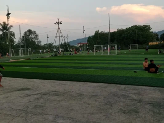 Trải cỏ và dán cỏ đúng cách