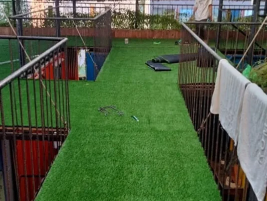 Thảm cỏ nhân tạo dễ dàng thi công lắp đặt