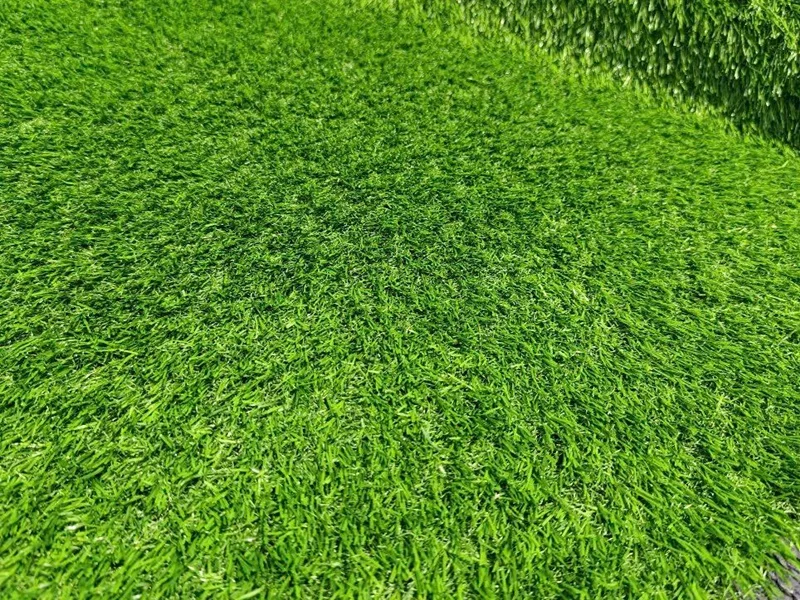 Kiểm tra chi tiết về thông số kỹ thuật của cỏ
