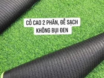 Cỏ nhân tạo 2cm đế bạt
