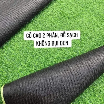 Cỏ nhân tạo 2cm đế bạt