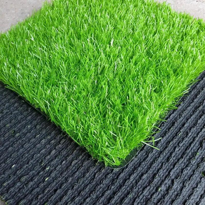 Cỏ mang màu sắc xanh đẹp tự nhiên