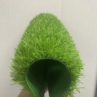 Kiểm tra chất lượng của cỏ nhân tạo