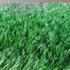 Thảm cỏ nhân tạo 4 cm 160 mũi : SLG40 cao cấp