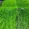Nhiều màu sắc để lựa chọn