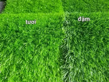 Nhiều màu sắc để lựa chọn
