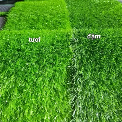 Nhiều màu sắc để lựa chọn