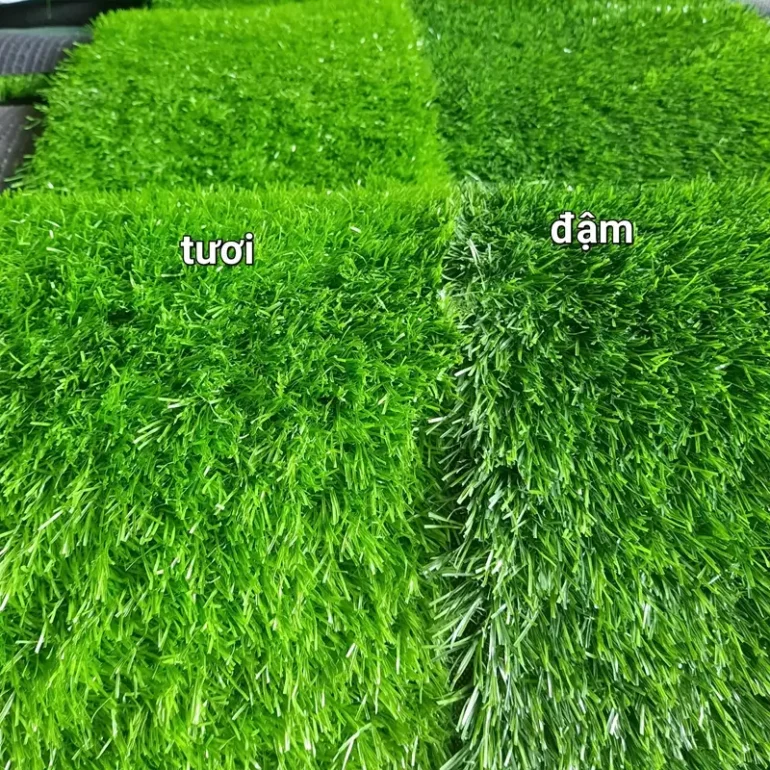 Nhiều màu sắc để lựa chọn