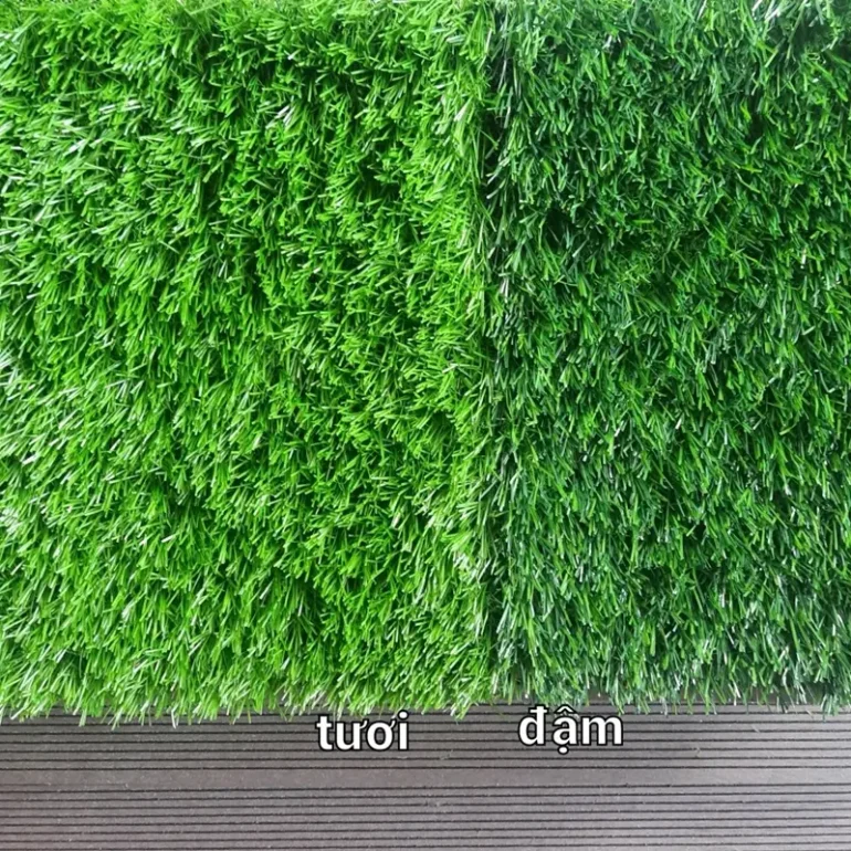 Thảm cỏ nhân tạo 3cm cao cấp 160 mũi