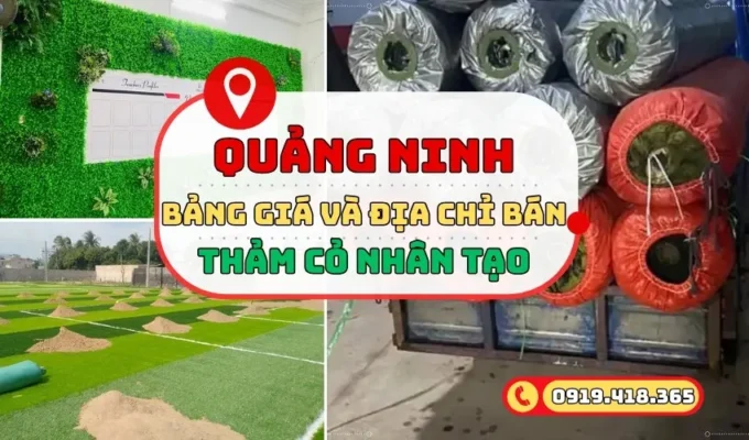 Địa chỉ bán cỏ nhân tạo ở Quảng Ninh