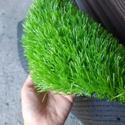 Cỏ nhân tạo chất lượng ngày càng cao, giá tốt hơn