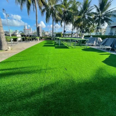 Khuôn viên sân vườn xanh, sạch đẹp