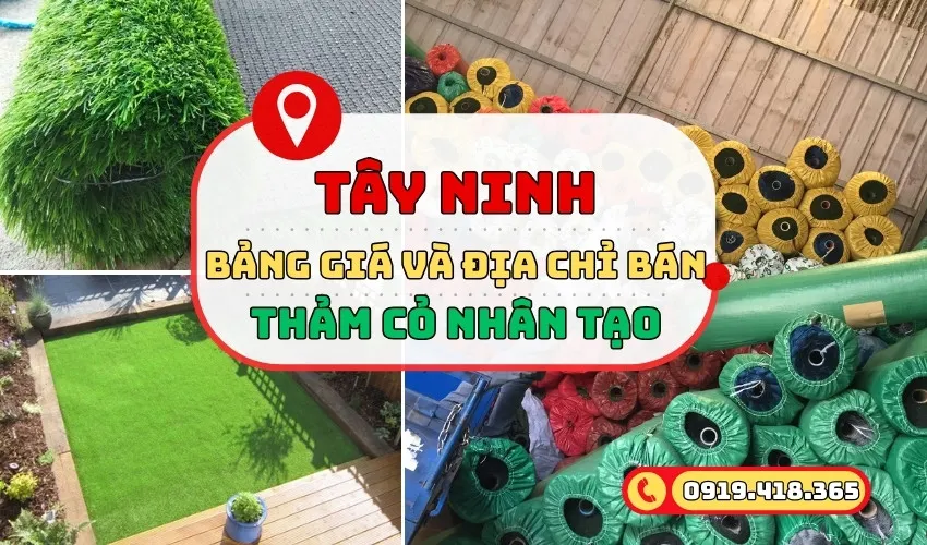 Cỏ nhân tạo Tây Ninh: Bảng giá và 5 công ty uy tín
