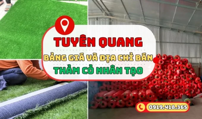 Thảm cỏ nhân tạo Tuyên Quang bảng giá và cách mua giá rẻ