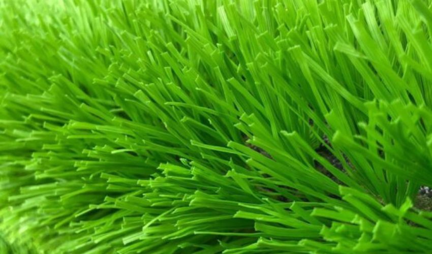 Sợi cỏ đều, chất lượng tốt
