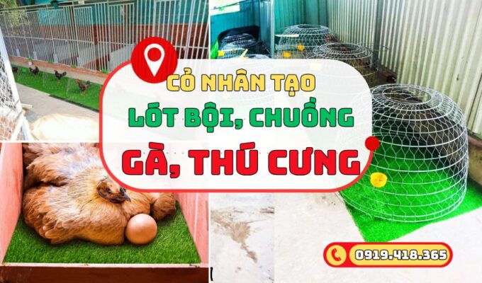 Thảm cỏ nhân tạo lót chuồng gà, bội gà