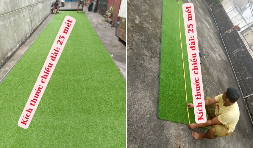 Chiều dài tối đa của cỏ sân vườn là 25mét