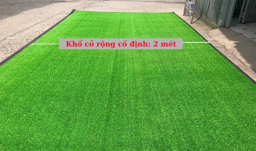 Kích thước cỏ nhân tạo bao nhiêu?