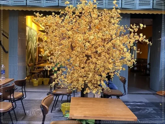 Thiết kế cây mai decor cho tết