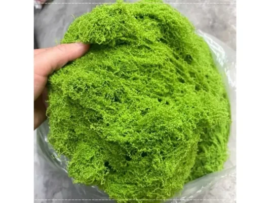 Rêu sợi nhân tạo