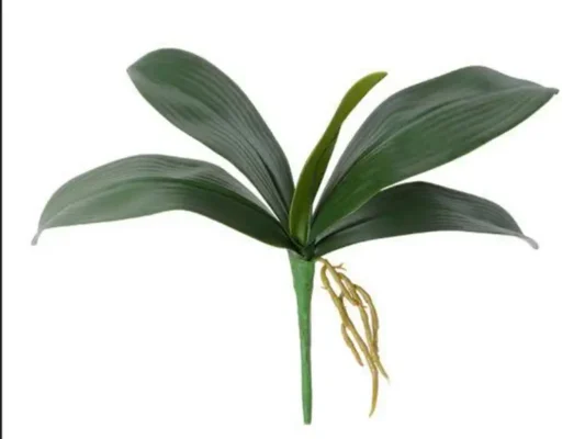 Cành hoa lan giả