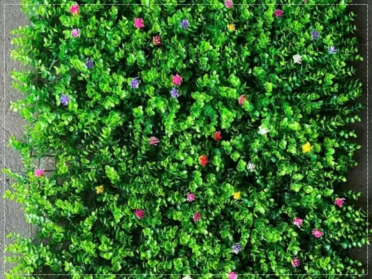 Tấm cỏ tai chuột có hoa điểm