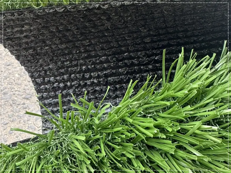 Đánh giá thông qua mặt đế và mật độ sợi cỏ
