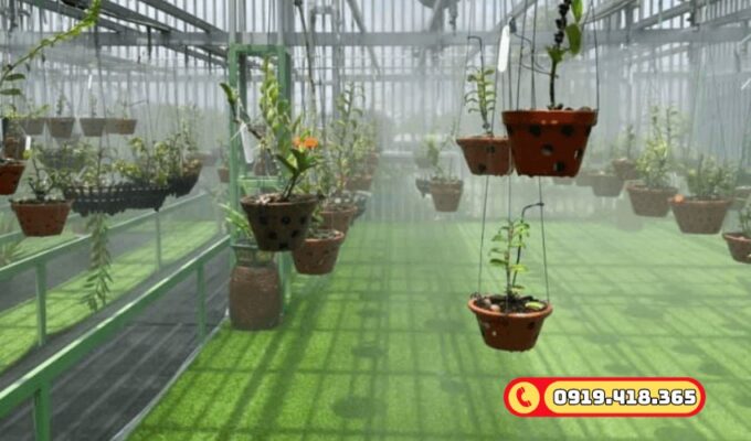 Khả năng thoát nước tốt, giữ ẩm cho vườn lan