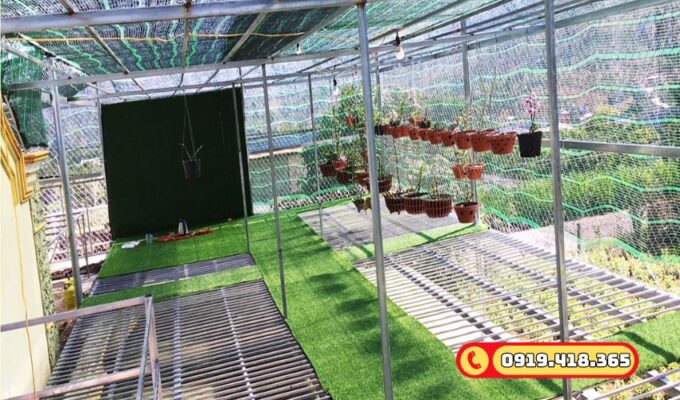 Thảm cỏ nhân tạo cho vườn lan, thoát nước tốt