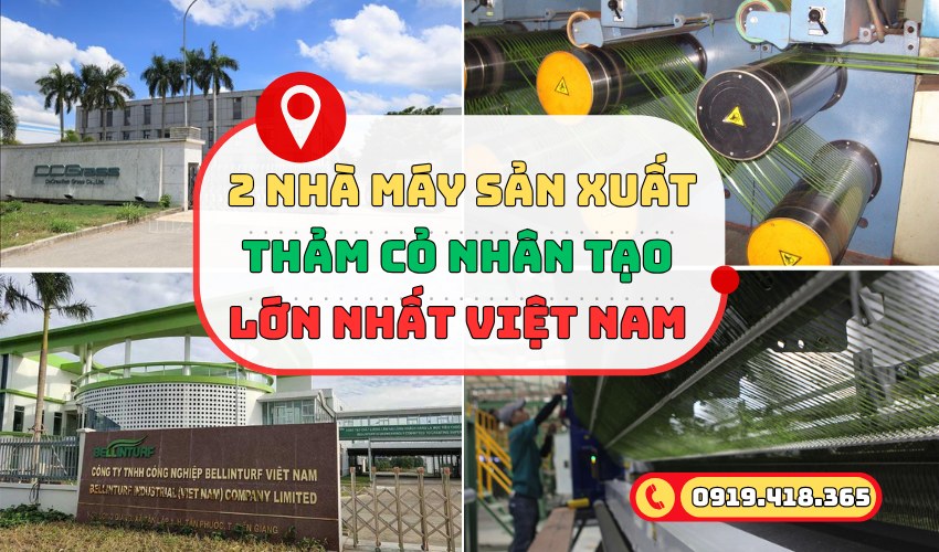 Nhà máy sản xuất cỏ nhân tạo tại Việt Nam