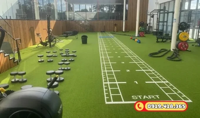 Cỏ nhân tạo cho phòng tập GYM đạt tiêu chuẩn quốc tế, an toàn với người dùng.