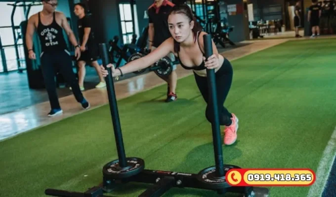 Thảm cỏ nhân tạo chất lượng cao, giảm thiểu chấn thương khi luyện tập trong phòng GYM.
