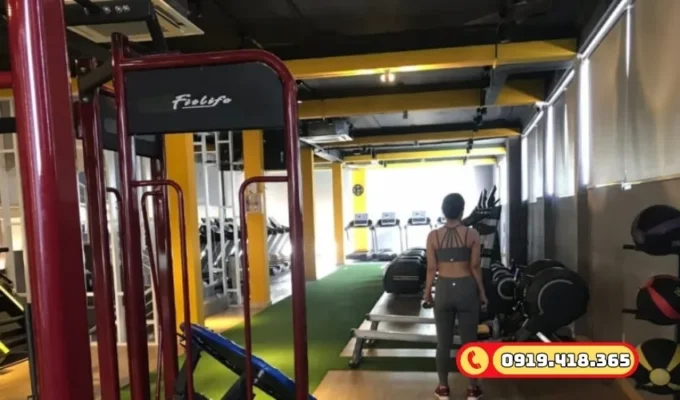 Cỏ nhân tạo chuyên dụng cho khu vực yoga trong phòng GYM