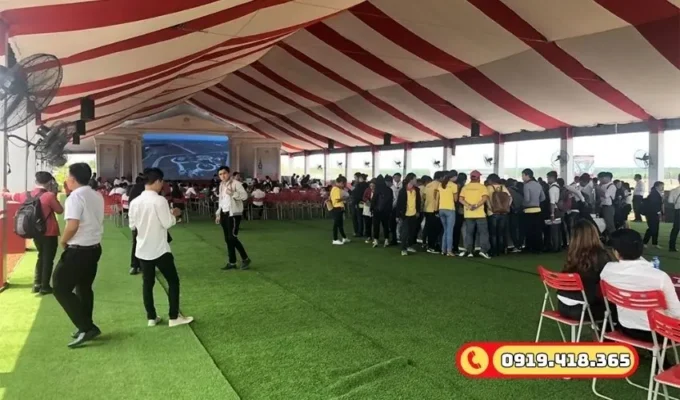 Tổ chức các hội chợ, triển lãm