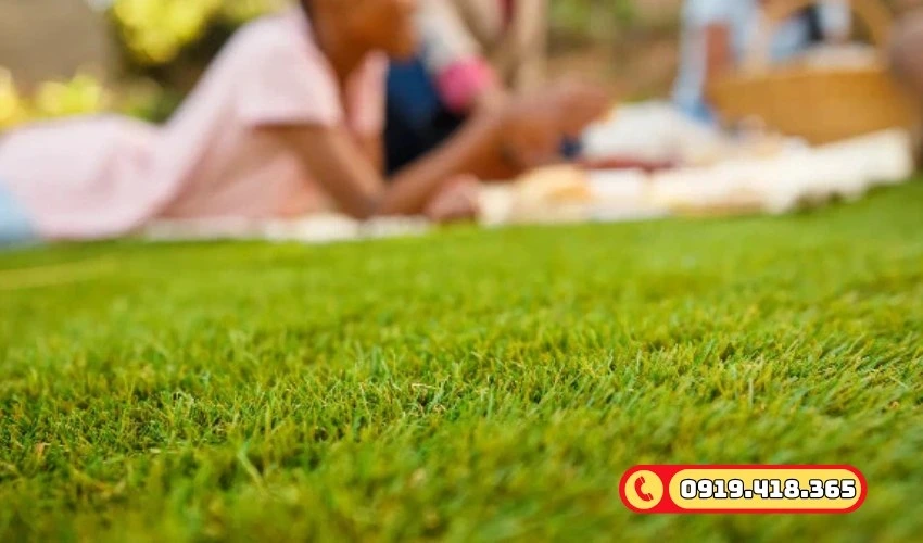 Vì sao cỏ nhân tạo được sử dụng nhiều, tiêu chí chọn lựa ra sao