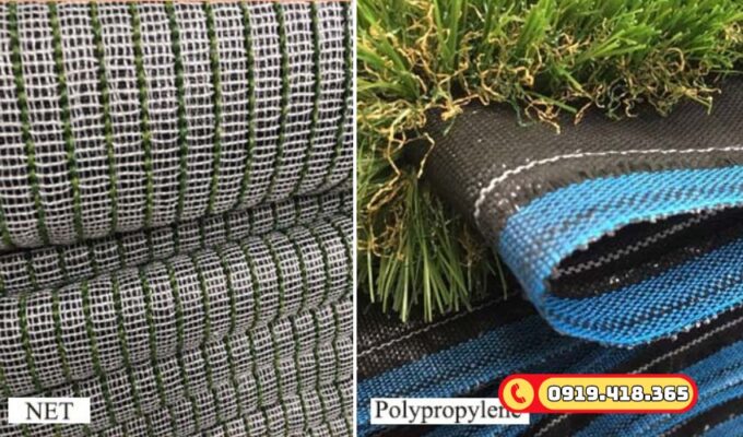 Cấu tạo của lớp đế cỏ