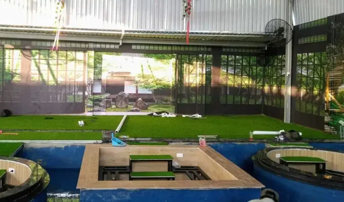Cỏ nhân tạo cho hồ cá KOI