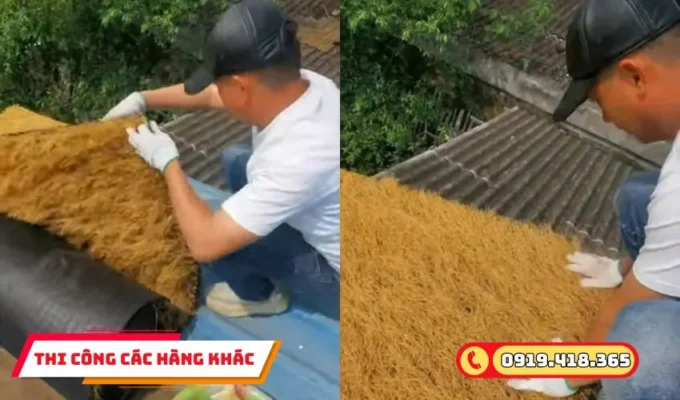Cố định các tấm rơm lợp mái đều