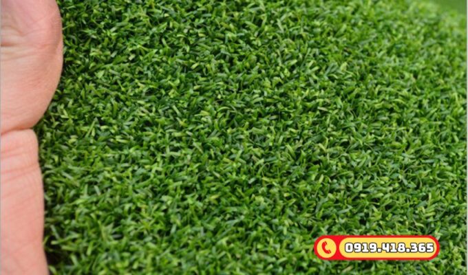 Chất liệu thảm cao cấp độ bền cao