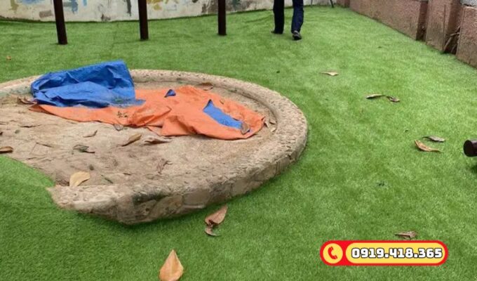 Phủ xanh những đồi cỏ