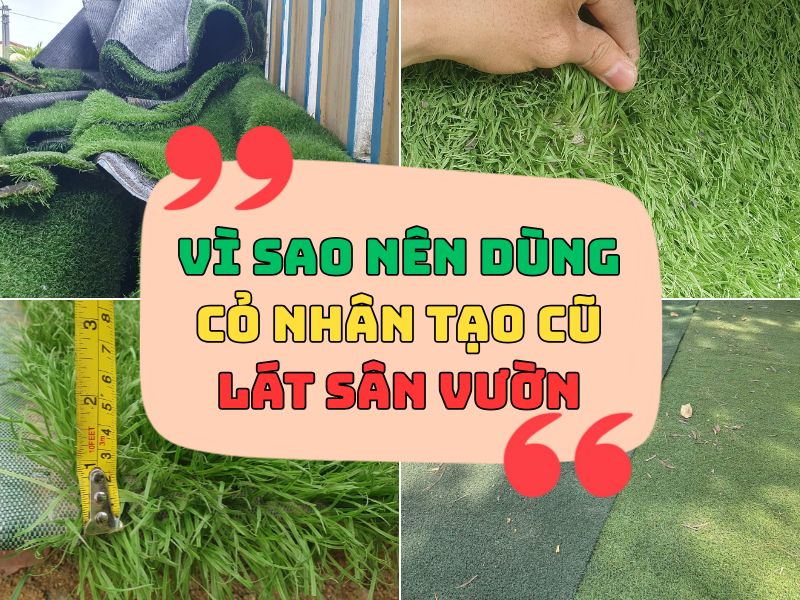 Cỏ nhân tao cũ thanh lý