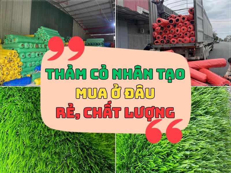 Mua thảm cỏ nhân tạo ở đâu tốt, chất lượng