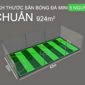 Diện tích tiêu chuẩn sân 5
