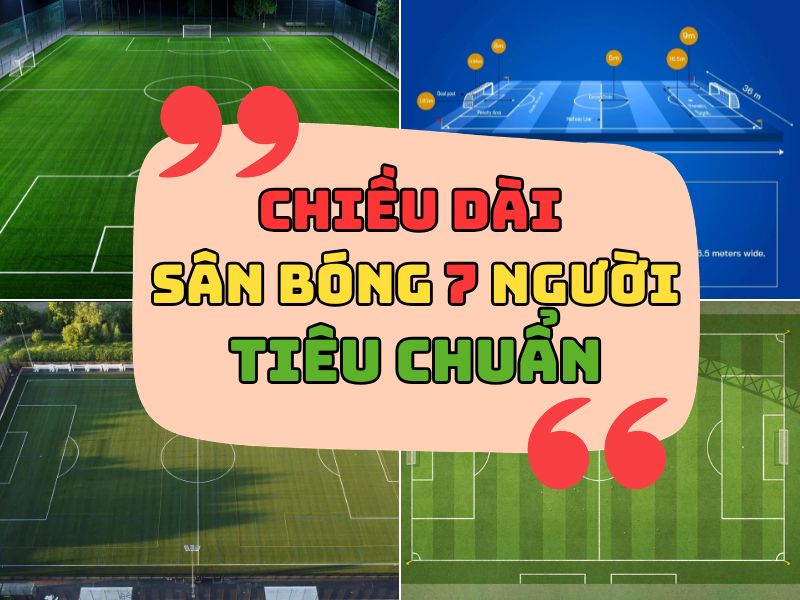 Chiều dài tiêu chuẩn của 1 sân bóng đá 7 người