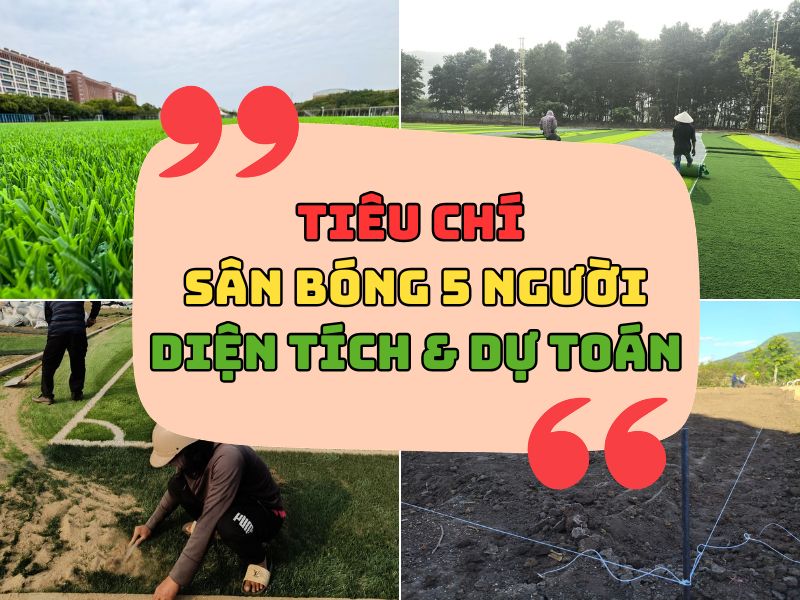 Tiêu chí của 1 sân bóng đá cỏ nhân tạo gồm những gì?